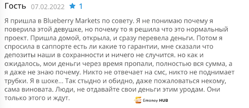 Blueberry Markets отзывы