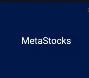 Изображение - MetaStocks