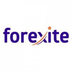 Forexite