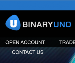 Binary Uno