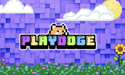 Как вывести деньги из PlayDoge