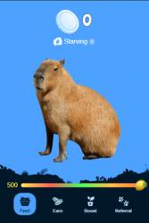 Capybara (Капибара)