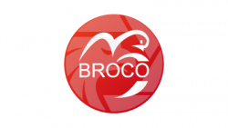 BroCo